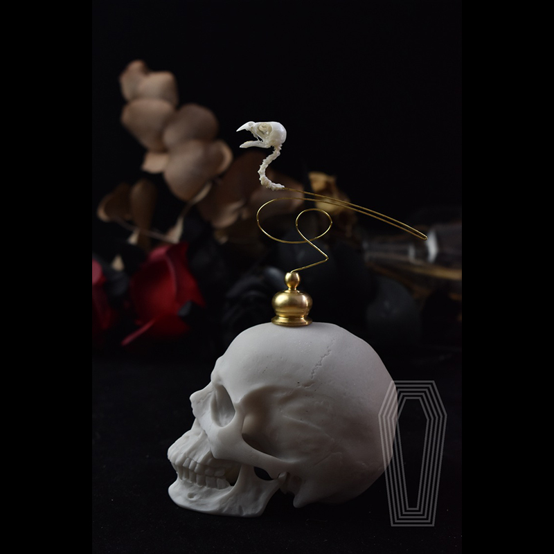 2111 Boutique Sculpture d'art  - Art Craft Museum avis et prix
