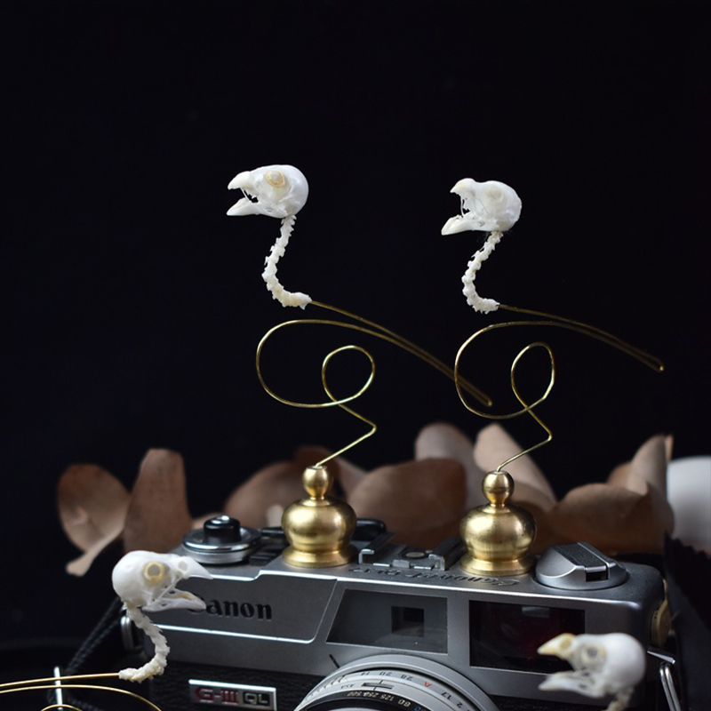 2111 Boutique Sculpture d'art  - Art Craft Museum avis et prix