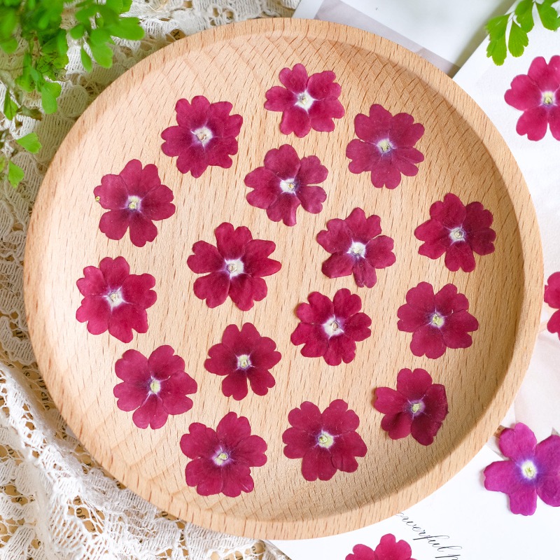 50 pièces/1,5-2 cm, fleurs de  - Art Craft 2 Year Olds avis et prix