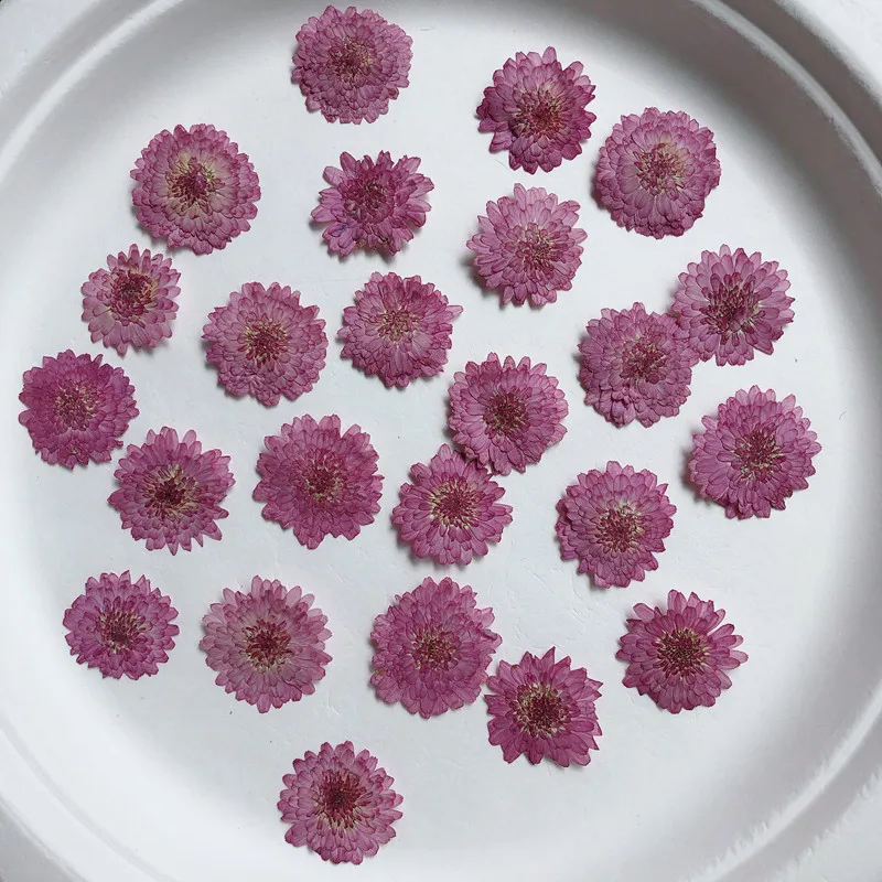 Véritables fleurs de chrysanth - Art Craft 2 Year Olds avis et prix